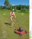 Woman mowing grass stock image. Image of push, adult - 33618